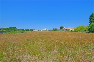terrain à la vente -   85340  L ILE D OLONNE, surface 3305 m2 vente terrain - UBI481826954